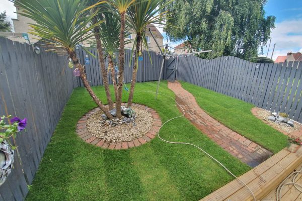 garden-2